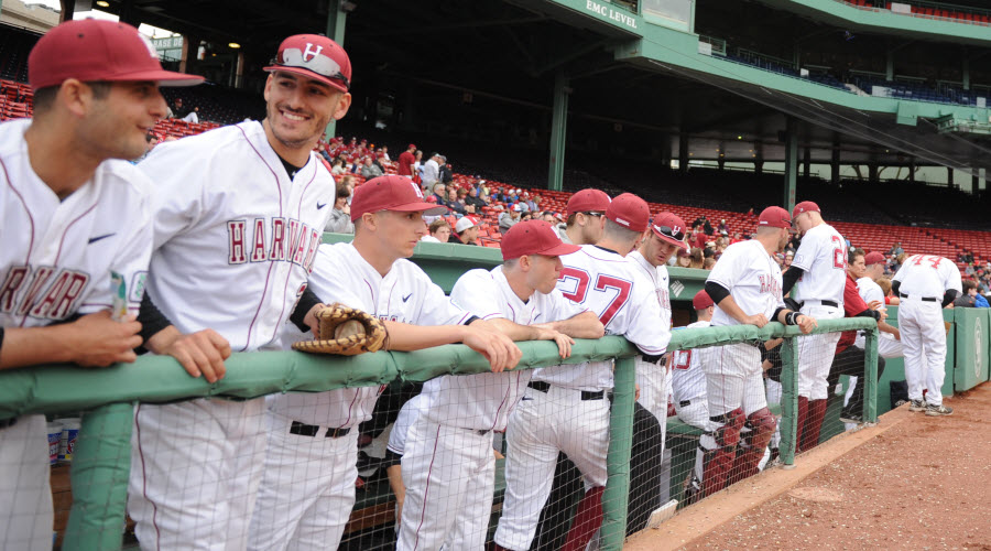 harvard baseball jersey